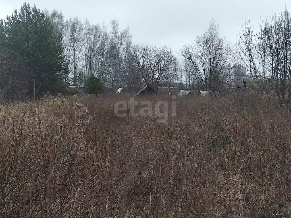 Участок в Ярославская область, Некрасовский муниципальный округ, с. ... - Фото 1