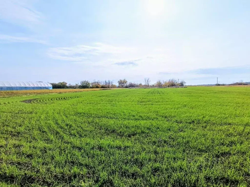 Дом в Краснодарский край, Выселковский район, Газырское с/пос, пос. ... - Фото 2