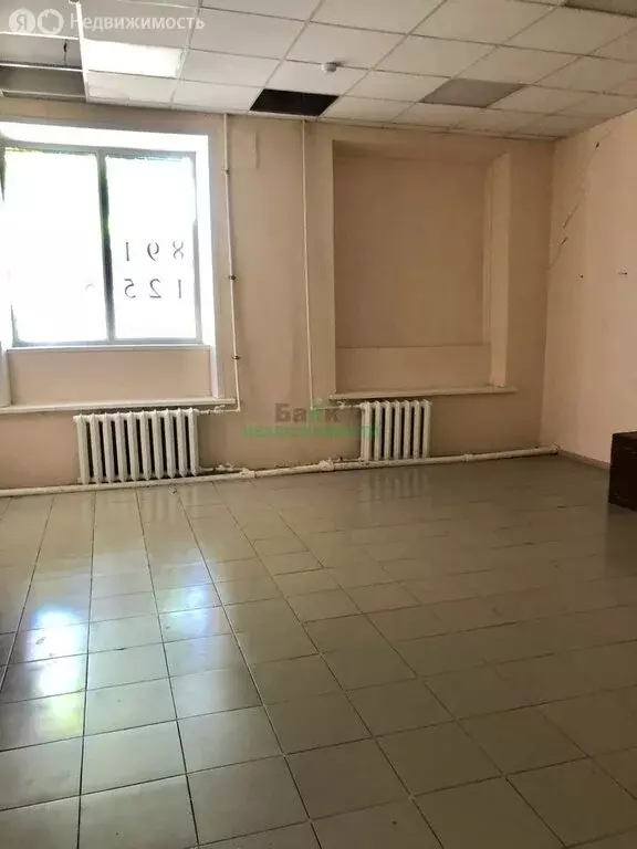 Помещение свободного назначения (115.1 м) - Фото 1
