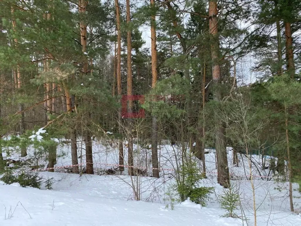 Участок в Московская область, Одинцовский городской округ, с. ... - Фото 0