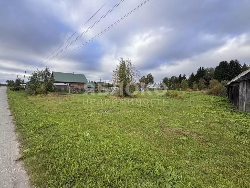 Участок в Пермский край, Березники муниципальный округ, д. Турлавы ул. ... - Фото 1