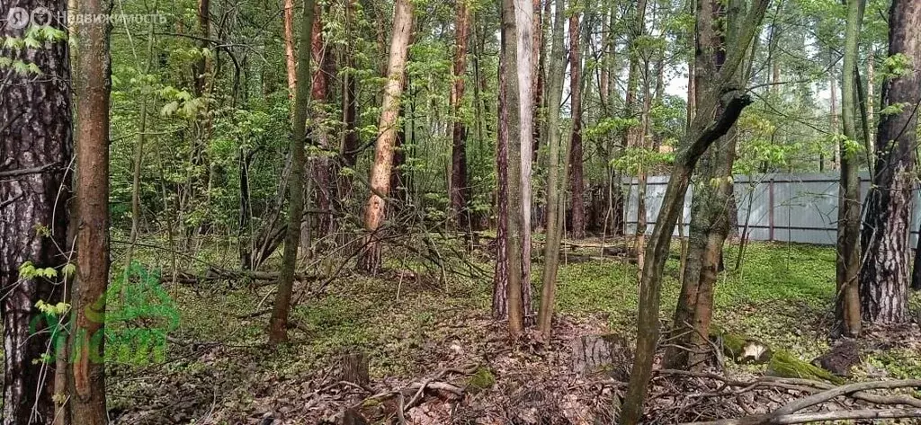 Участок в Раменский городской округ, рабочий посёлок Быково, ... - Фото 1