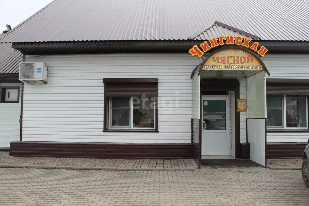 Офис в Алтайский край, Алтайский район, с. Алтайское ул. М. ... - Фото 1