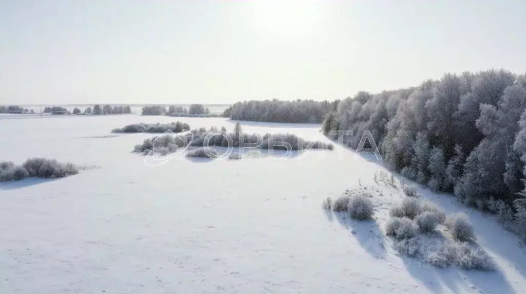 Участок в Тюменская область, Тюменский муниципальный округ, д. Елань, ... - Фото 1