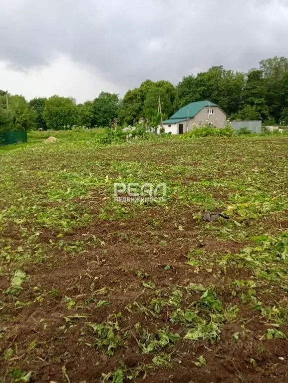 Участок в Ленинградская область, Волосовский район, Большеврудское ... - Фото 0