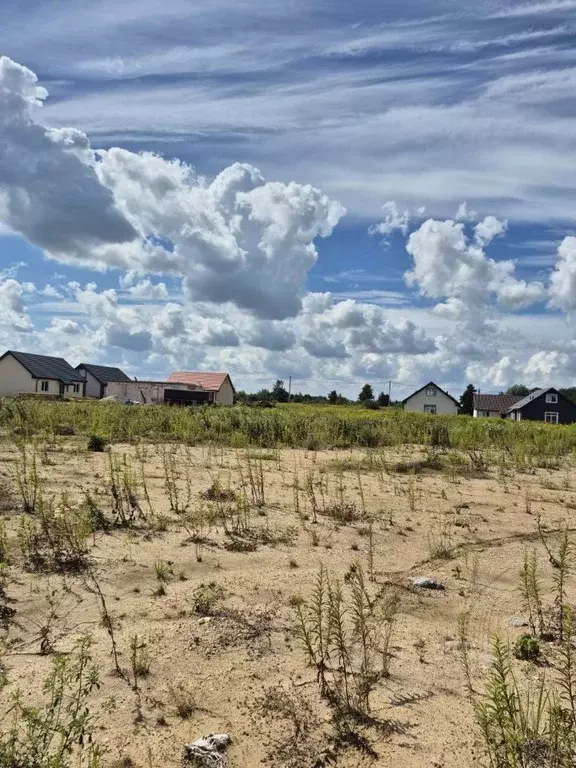 Участок в Калининградская область, Гурьевский муниципальный округ, ... - Фото 2