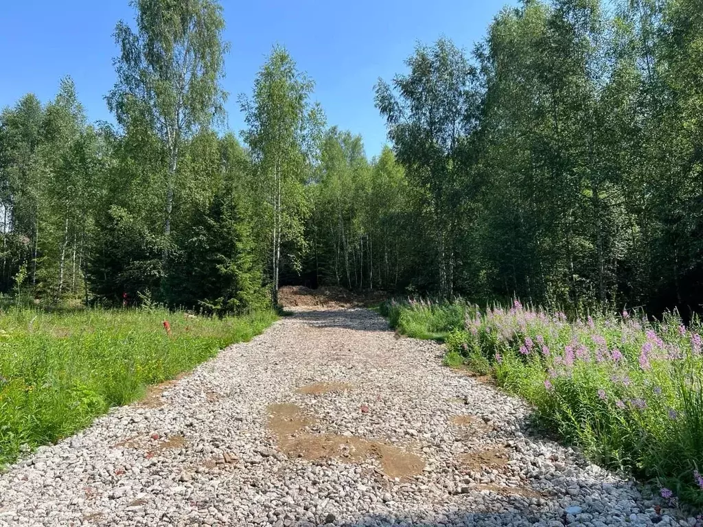 Участок в Московская область, Наро-Фоминский городской округ, д. ... - Фото 0