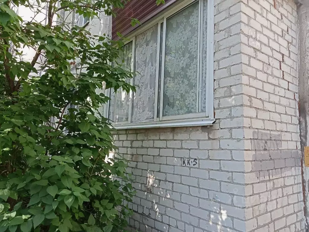 3-к кв. Курская область, Железногорск ул. Димитрова, 25 (59.4 м) - Фото 0