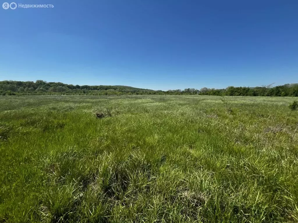 Участок в станица Смоленская, Лесная улица (14 м) - Фото 0