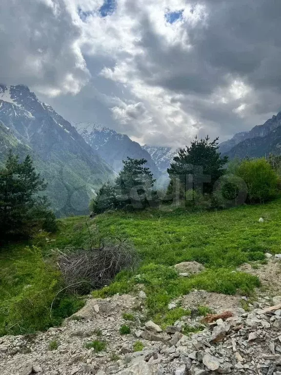 Участок 40 сот. (ИЖС) - Фото 0