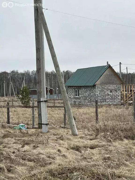 Участок в Сосновский округ, Алишевское сельское поселение, село ... - Фото 1