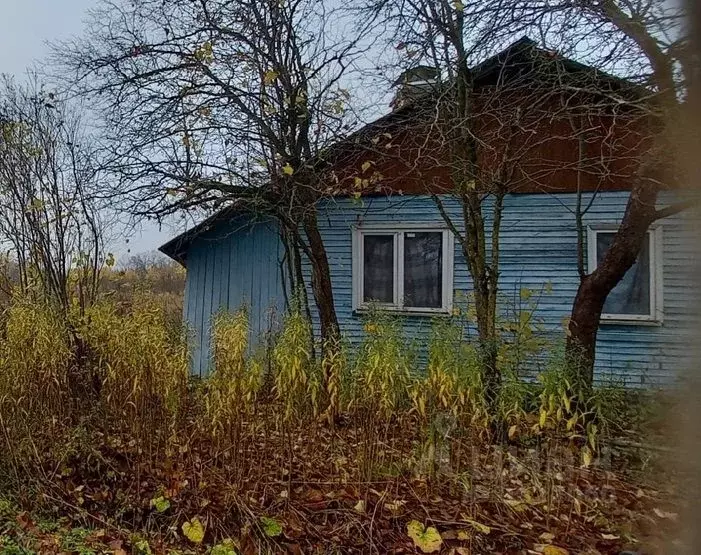 Дом в Новгородская область, пос. Волот ул. Заводская, 2 (25 м) - Фото 1