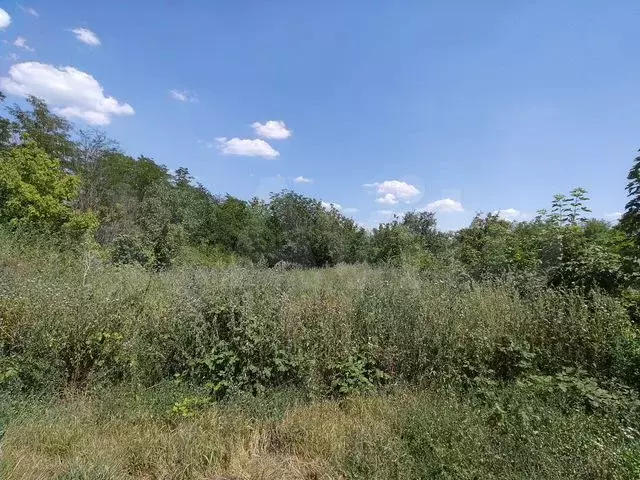 Участок 6 сот. (СНТ, ДНП) - Фото 0