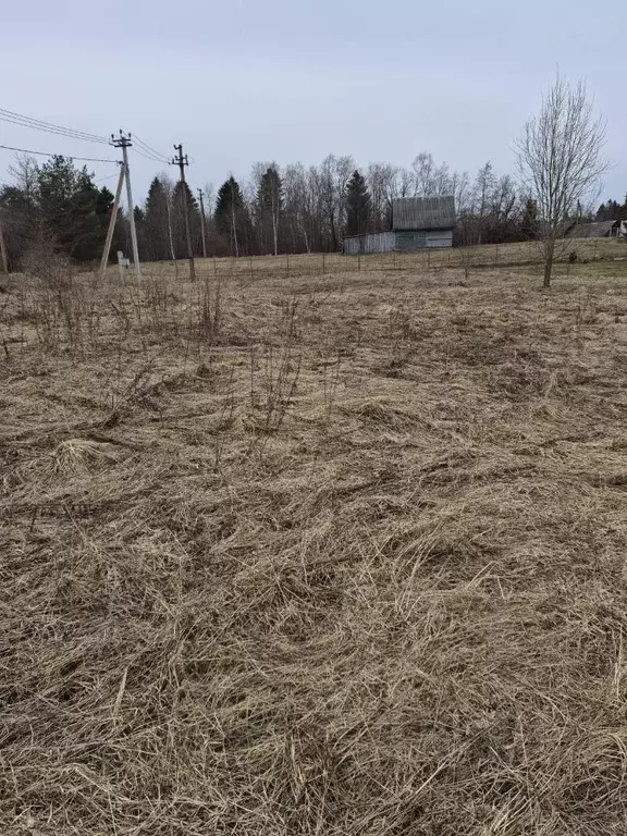 Участок в Ленинградская область, Гатчинский муниципальный округ, д. ... - Фото 2