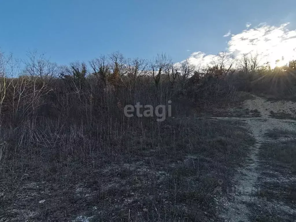 Участок в Краснодарский край, Новороссийск городской округ, с. Мысхако ... - Фото 1