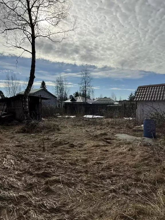 Участок в Ленинградская область, Всеволожский район, Агалатовское ... - Фото 1