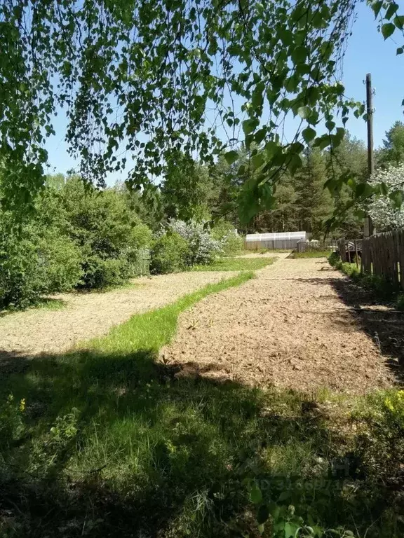 Участок в Кировская область, Оричевский район, Спас-Талицкое с/пос, ... - Фото 2