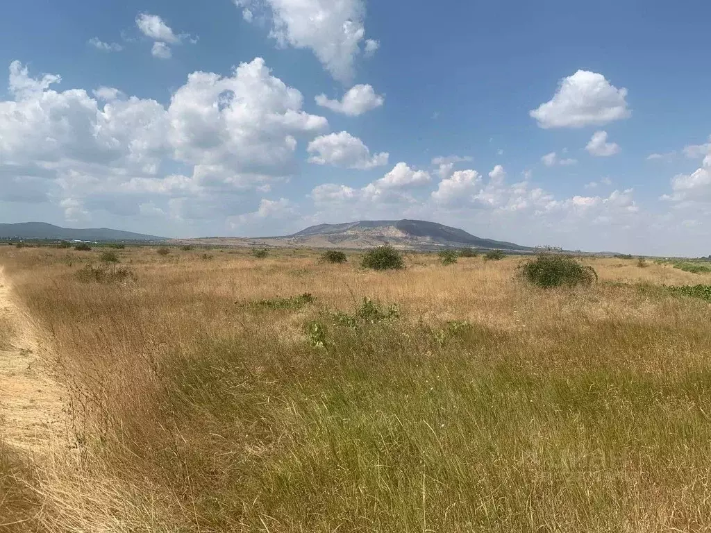 Участок в Крым, Кировский район, Абрикосовское с/пос, с. Кринички  ... - Фото 1