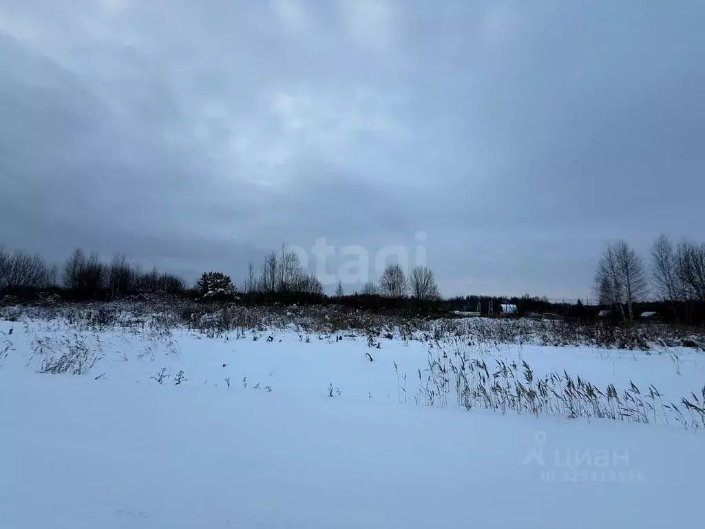 Участок в Костромская область, Кострома Журавлик садоводческое ... - Фото 1
