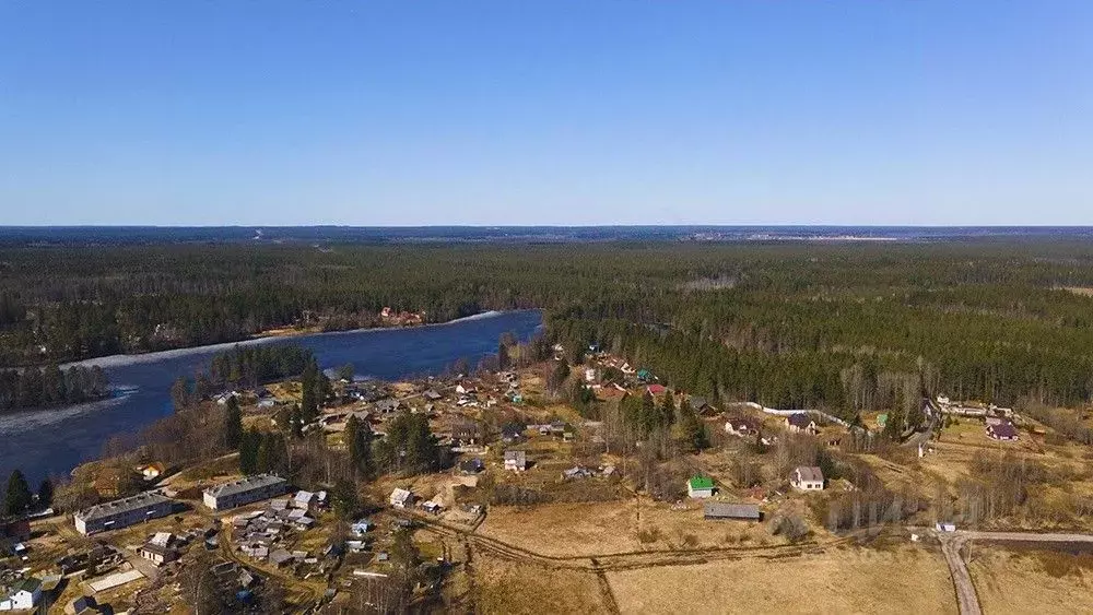 Участок в Ленинградская область, Выборгский район, Рощинское городское ... - Фото 0