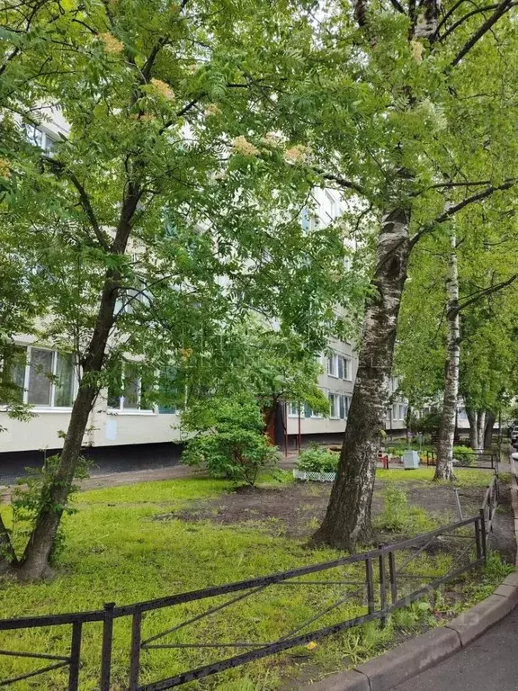 Комната Санкт-Петербург Богатырский просп., 5К3 (17.4 м) - Фото 2