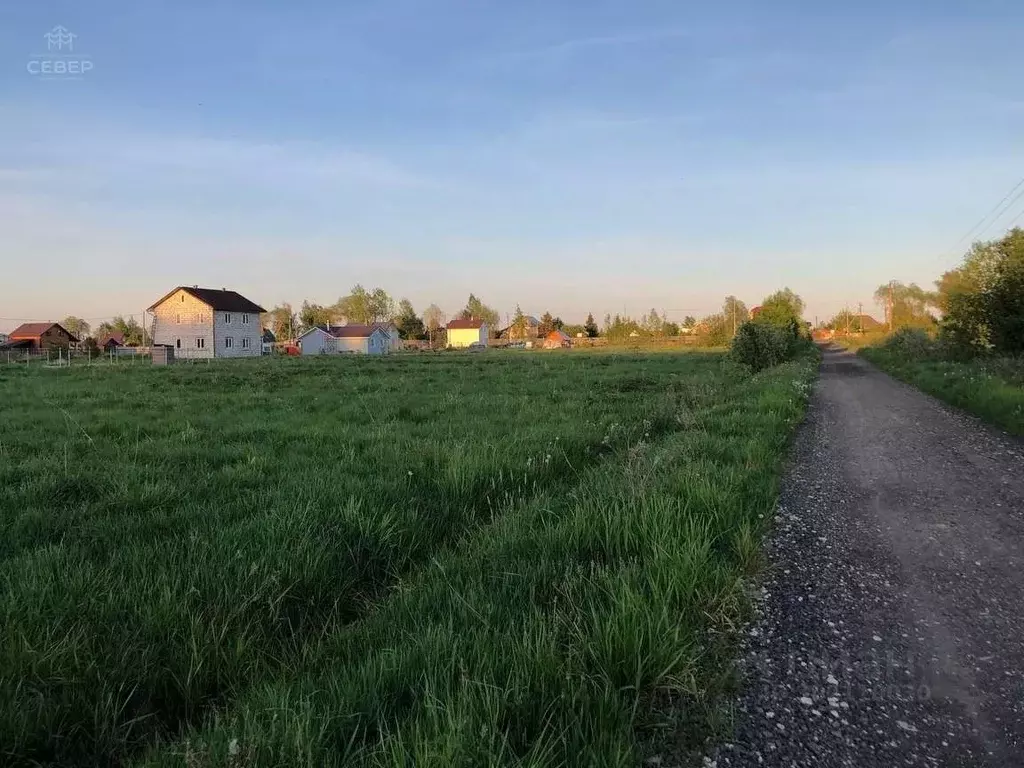 Участок в Новгородская область, Новгородский район, Савинское с/пос, ... - Фото 1