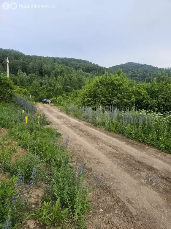 Участок в Горно-Алтайск, Виноградная улица (8.3 м) - Фото 1