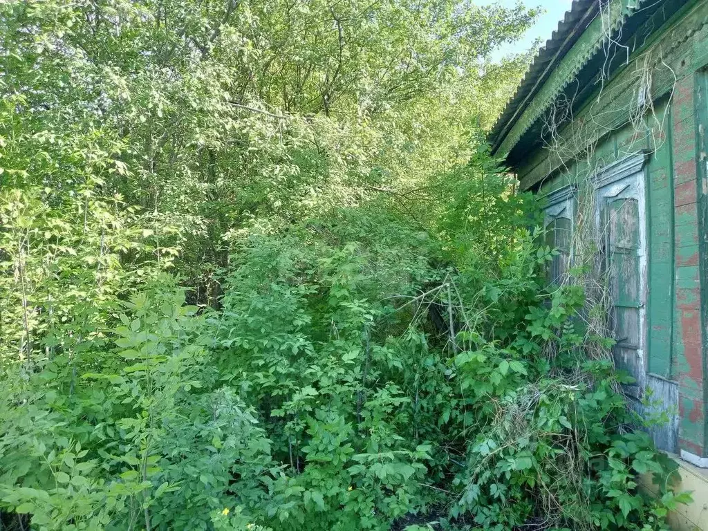 Участок в Саратовская область, Балашов ул. Тараканова, 16 (2.5 сот.) - Фото 1