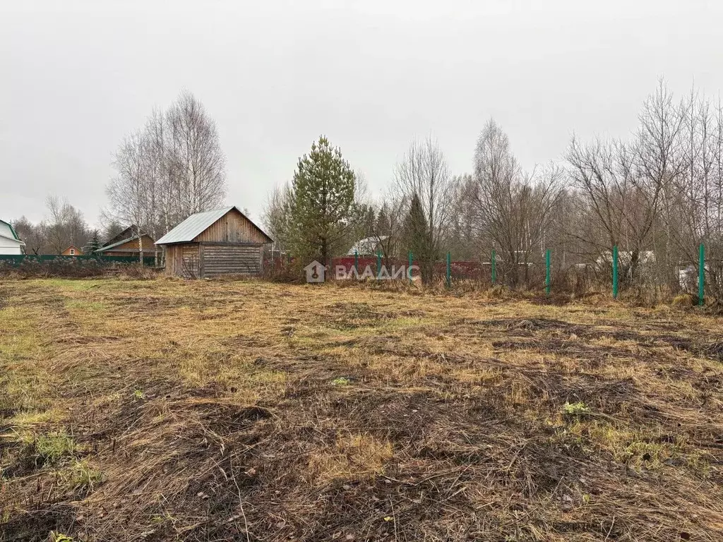 Участок в Нижегородская область, Бор муниципальный округ, с. Городищи ... - Фото 1