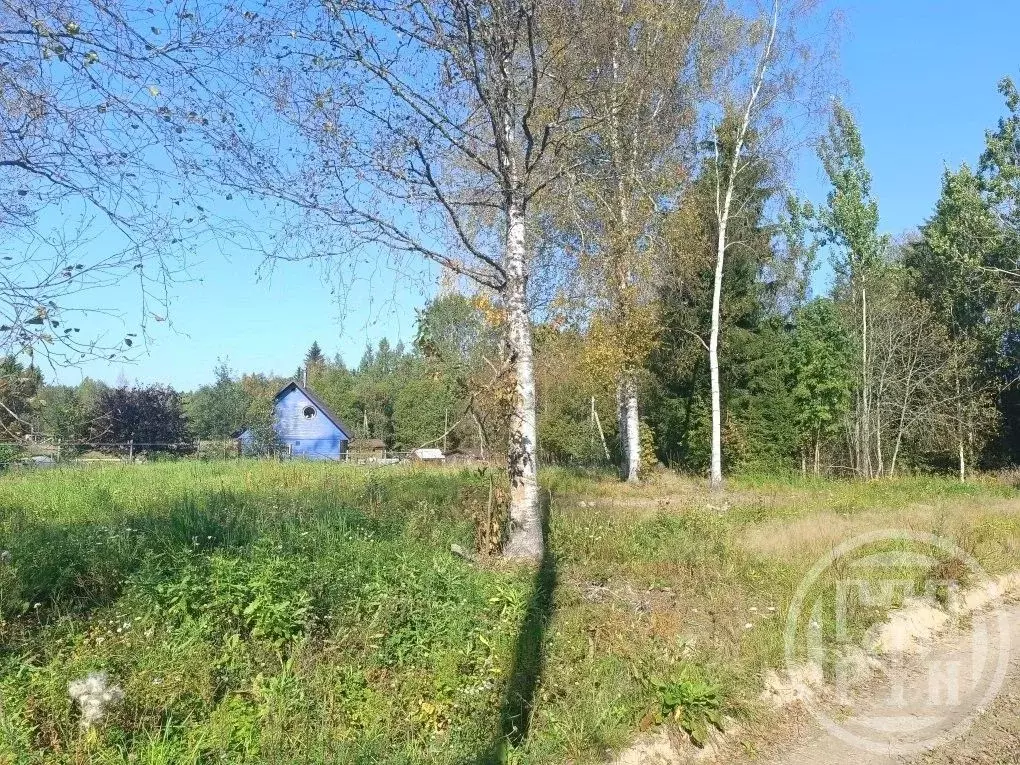 Участок в Ленинградская область, Выборгский район, Рощинское городское ... - Фото 1