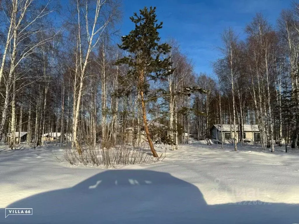 Участок в Свердловская область, Сысертский городской округ, пос. ... - Фото 0