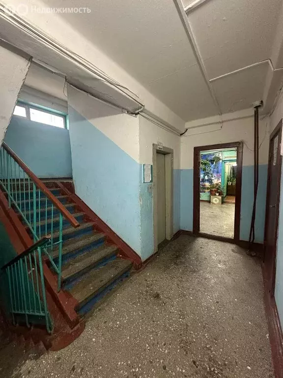 Квартира-студия: Красноярск, улица Щорса, 60 (19 м) - Фото 1