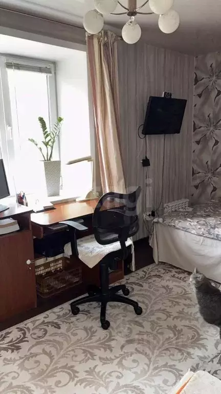 2-к кв. Кемеровская область, Кемерово Пролетарская ул., 19 (41.5 м) - Фото 2
