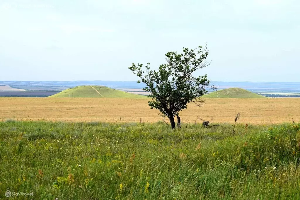 Участок в Ставропольский край, Грачёвский муниципальный округ, хутор ... - Фото 2