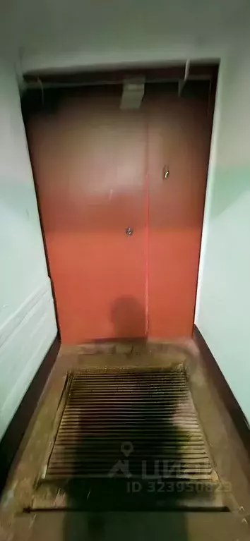 3-к кв. Ленинградская область, Волосовский район, Бегуницкое с/пос, ... - Фото 2