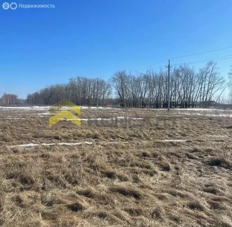 Участок в село Усть-Заостровка, Заозёрная улица, 13А (5 м) - Фото 1