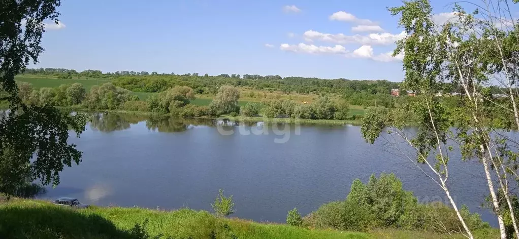 Участок в Тульская область, Киреевский район, Дедиловское ... - Фото 0