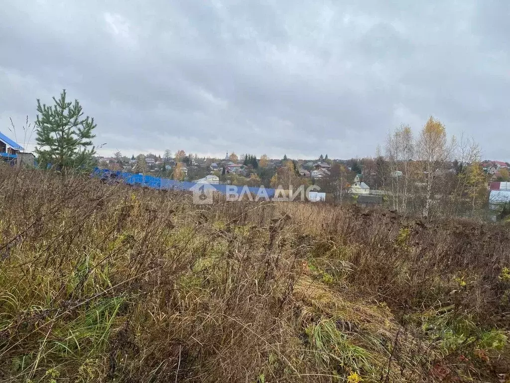 Участок в Владимирская область, Владимир с. Мосино,  (13.3 сот.) - Фото 2