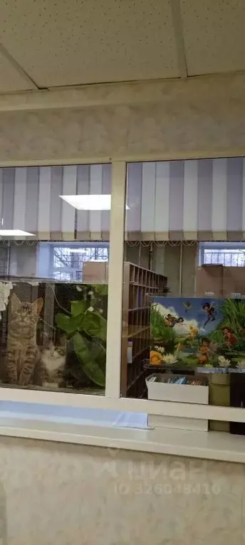 Помещение свободного назначения в Омская область, Омск Заозерный мкр, ... - Фото 2