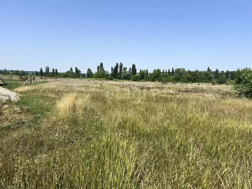 Участок в Крым, Белогорский район, с. Криничное ул. Речная (10.0 сот.) - Фото 1