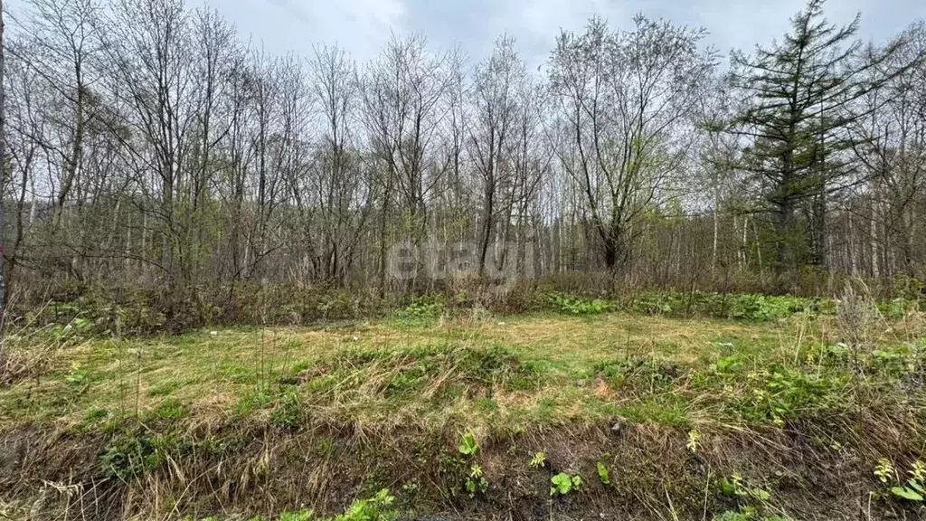 Участок в Сахалинская область, Южно-Сахалинск  (15.0 сот.) - Фото 1