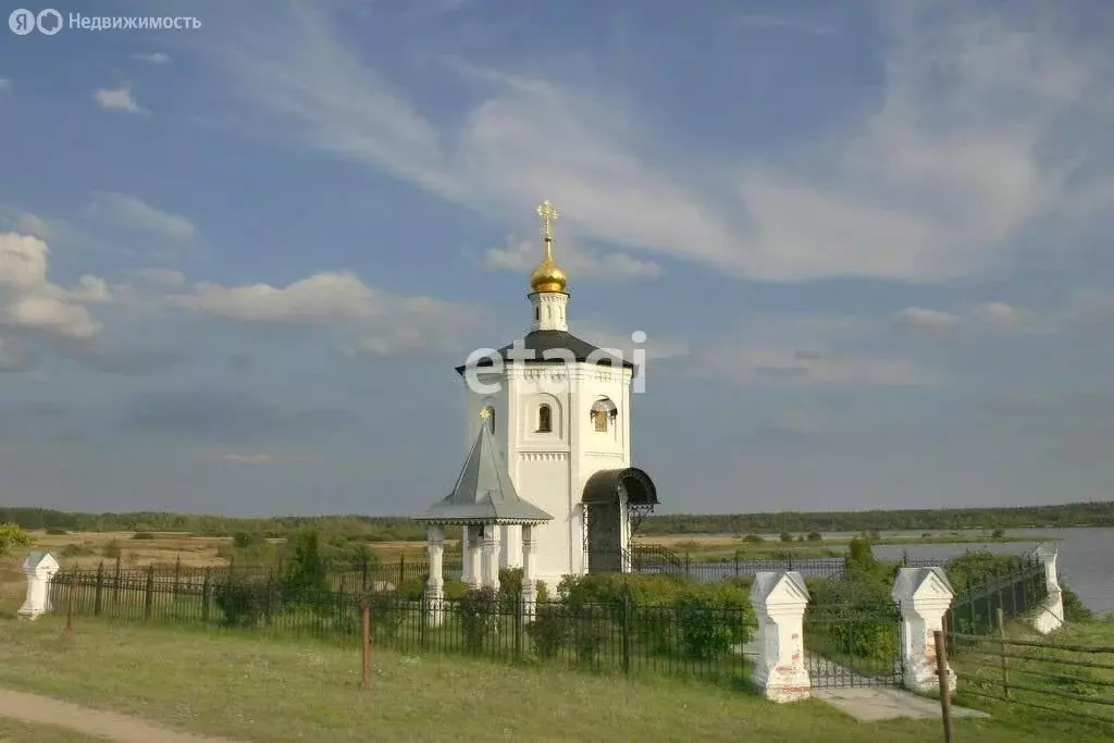 Участок в Владимирская область, муниципальное образование Петушинское, ... - Фото 1