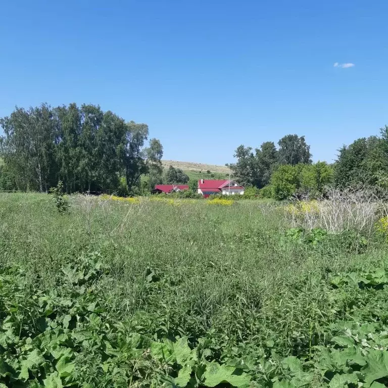Купить Дом В Елабужском Районе Танайка