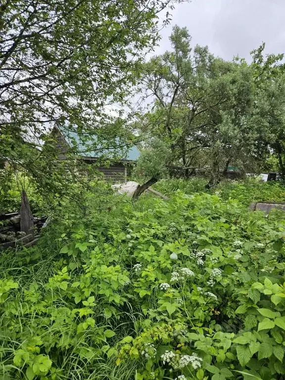 Участок в Новгородская область, Валдай Советский просп. (7.4 сот.) - Фото 1