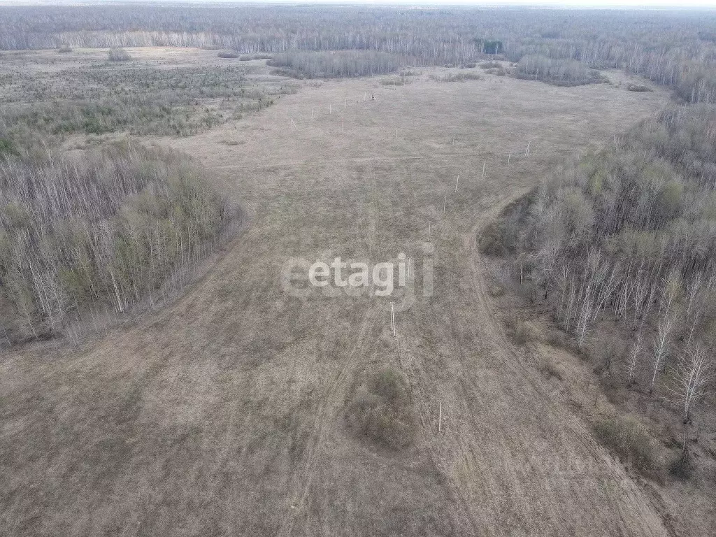 Участок в Тюменская область, Тюменский район, с. Горьковка  (13.1 ... - Фото 1