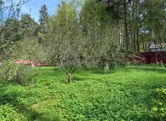 Дом 186,6 м на участке 30 сот. - Фото 1