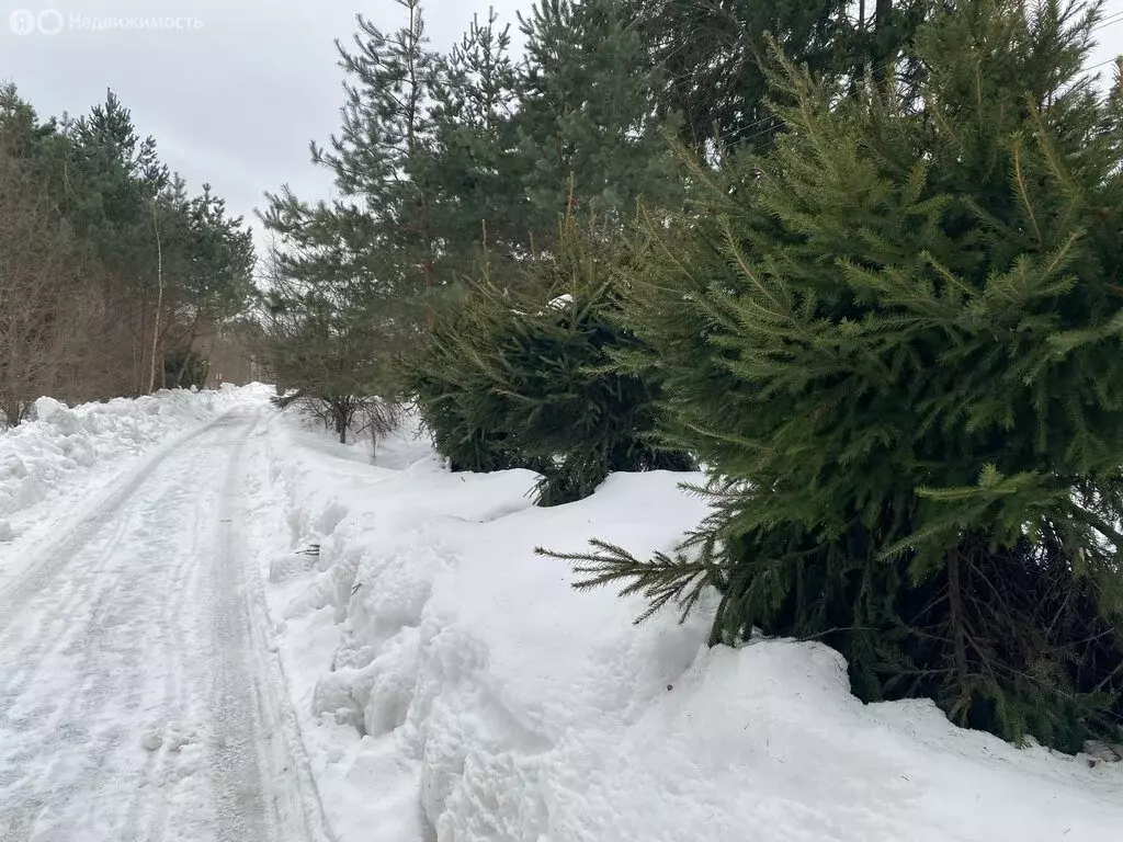Дом в Апрелевка, улица Чапаева, 51 (80 м) - Фото 1