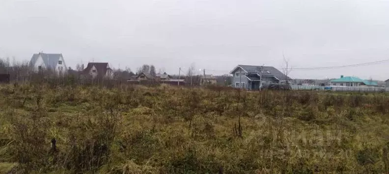 Участок в Московская область, Чехов муниципальный округ, д. Панино ул. ... - Фото 2