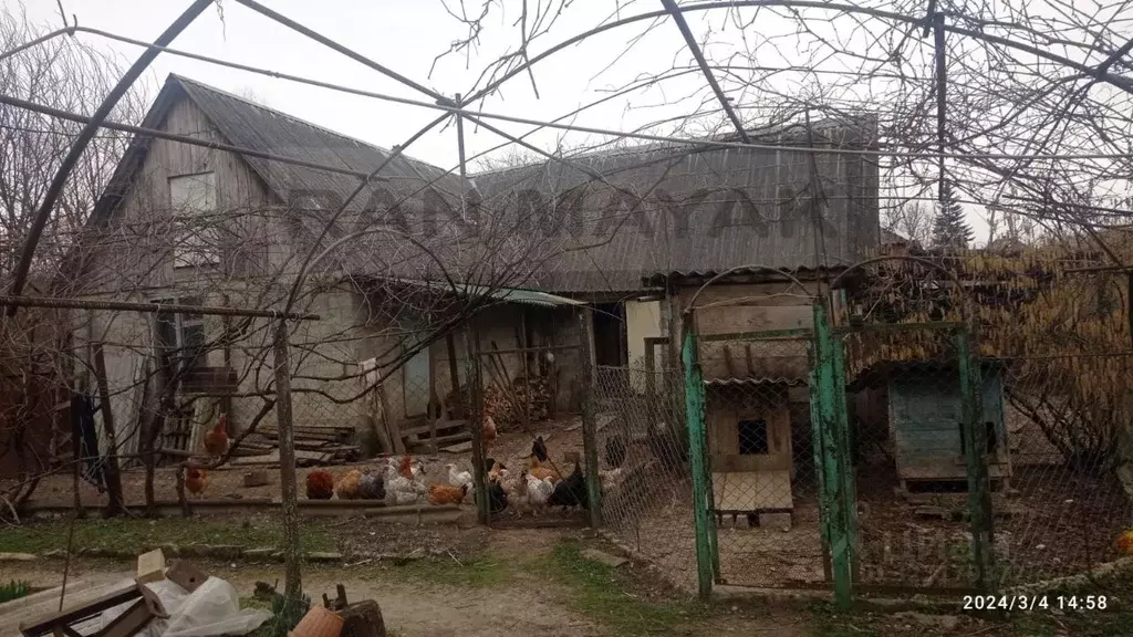 Дом в Адыгея, Майкопский район, Краснооктябрьское с/пос, Курджипская ... - Фото 1