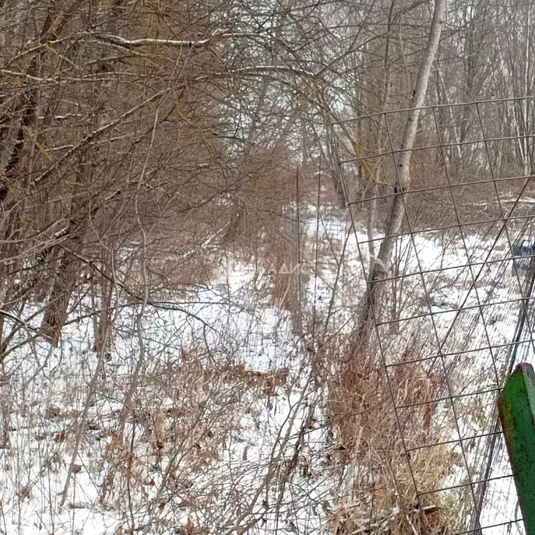 Участок в Московская область, Коломна городской округ, д. Щепотьево  ... - Фото 2